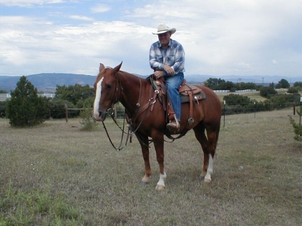 The Pasture, The Partner, and The Path: Dr. Frank A. Lucas's Lessons from Dolly the Horse