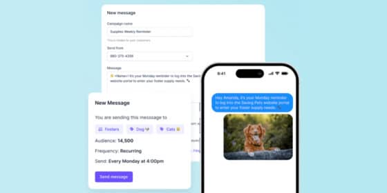 Effective SMS Marketing Campaigns of Businesses