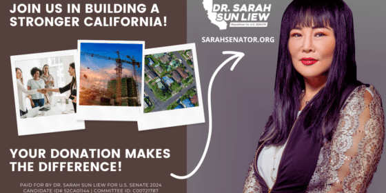 The Pillars of Election Integrity