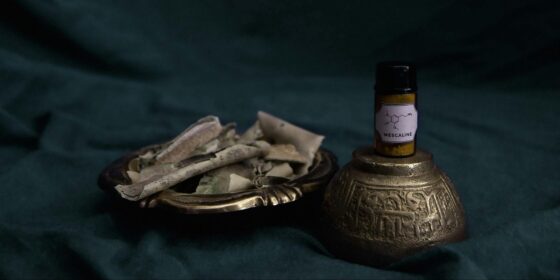 How to Prevent a Drug Relapse