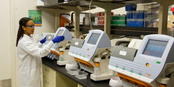 Guardians of Dignity: How Rigorous Lab Testing Ensures the Excellence of Adult Diapers