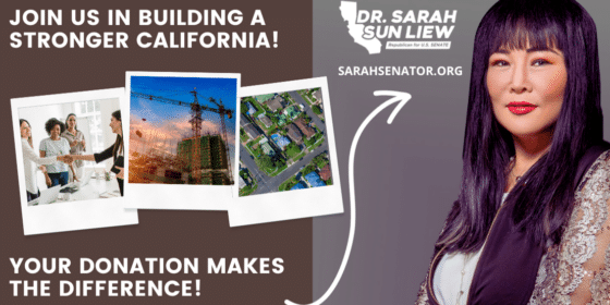 Navigating the Labyrinth: Strengthening the Foundations of Election Integrity