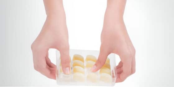 Dorot Gardens Redefines Home Cooking with Flash-Frozen Herb Innovation at Expo West 2024