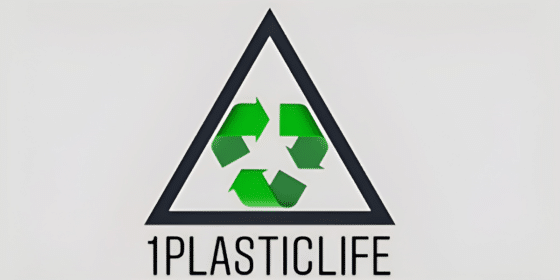 Pioneering Change: How This Organization is Tackling Plastic Pollution and Transforming Lives