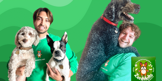 ZenMelts: Revolutionizing Pet Calmness with a Dash of Human Compassion