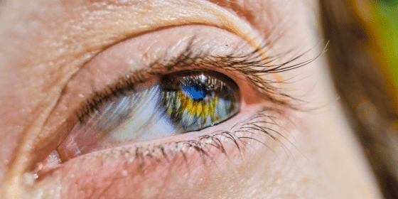 Exploring the Intricacies of Double Eyelids: How Anatomy and Aesthetics Intersec