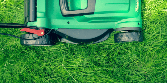 Factors to Consider Each Time You Cut Your Yard's Grass