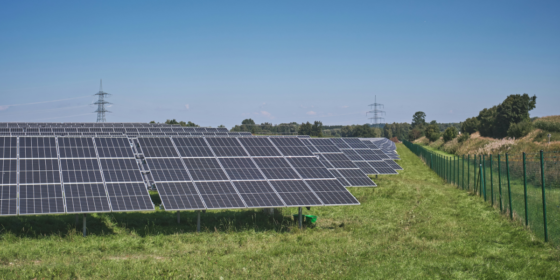 Denton Peng Bridges Vision and Execution in Renewable Energy