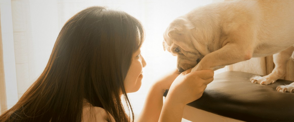 Important Things to Do Before Leaving on Your Next Vacation