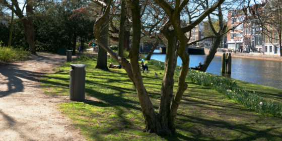 Key Ways to Revamp Your Local Park on a Limited Budget