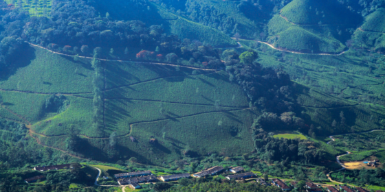 Landscaping Issues That Gabions Can Help Correct