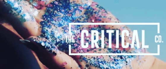 Transforming Visions into Ventures With The Critical Co.