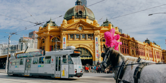 Explore Melbourne Art, Parks, and Culinary Delights