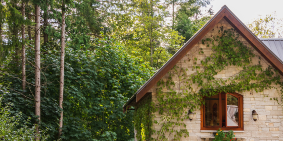 Factors to Consider When Selecting a Vacation Rental