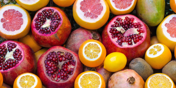 Food Empowerment Project Leading for Sustainability