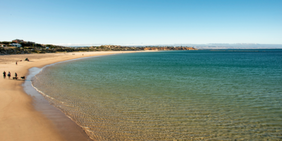 Explore the Sights and Experiences in Adelaide, Australia