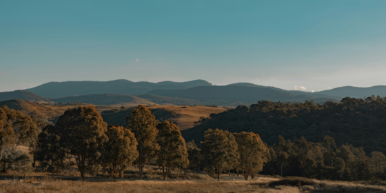 Exploring Canberra, Australia A Capital Adventure