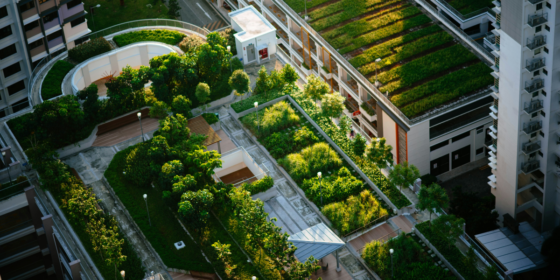 Go Green: Building a Sustainable Business