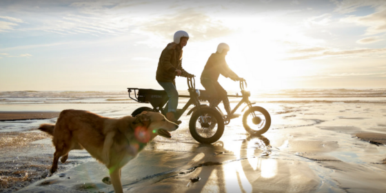 PEDAL Electric Powering a Sustainable Future