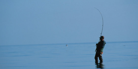 Saltwater Reel Care Tips for Longevity