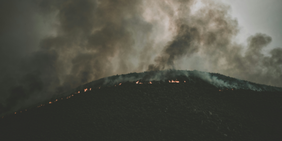 The Role of Prescribed Burns in Reducing Wildfire Risks