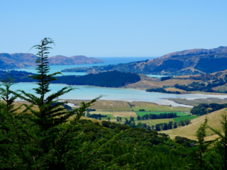 Discover Christchurch Highlights of the Garden City