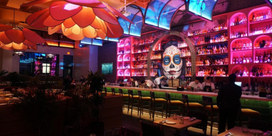 Meximodo The Largest Collection of Agave Spirits!