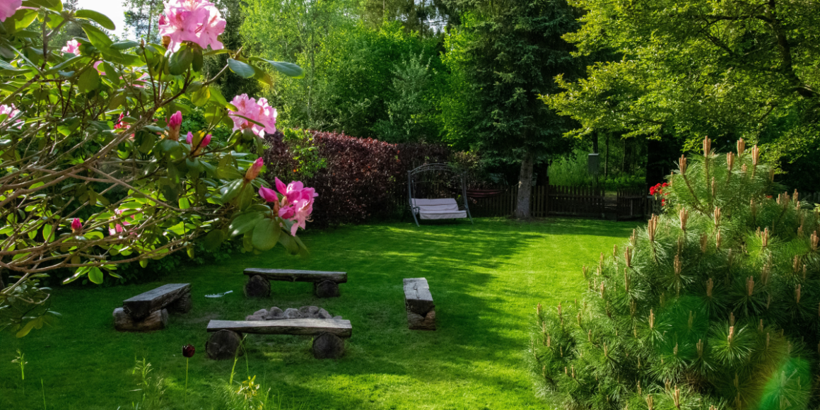 Sustainable Gardening Tips for a Vibrant Backyard Oasis