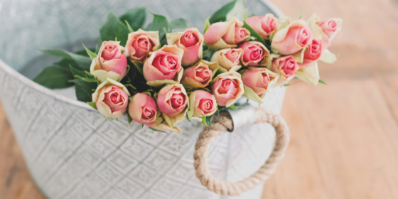 The Million Roses- The Right Colored Roses for the Occasion