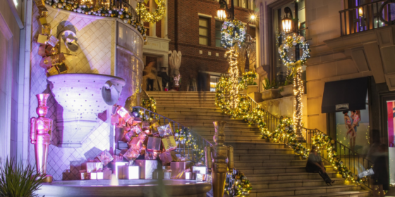 Christmas Brothers A Trusted Name in Holiday Season Lighting