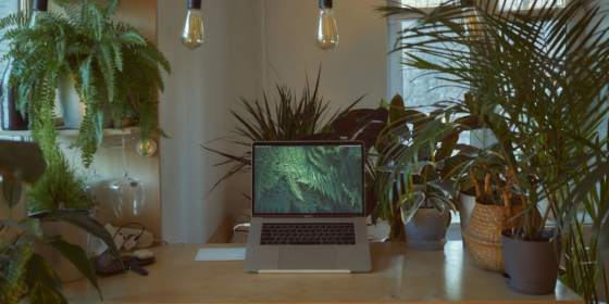 How AI Coaching is Revolutionizing Team Dynamics