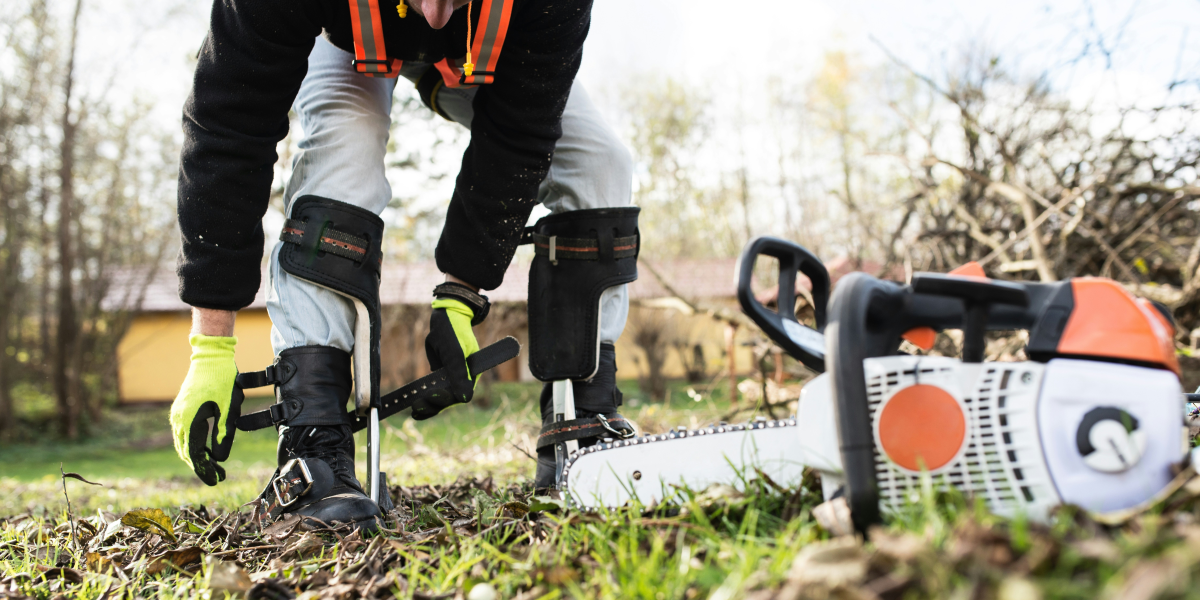 The Art of Brush Clearing Techniques for a Pristine Landscape