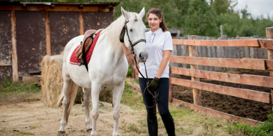 Exploring the Role of Equine Therapy in Addiction Recovery Programs