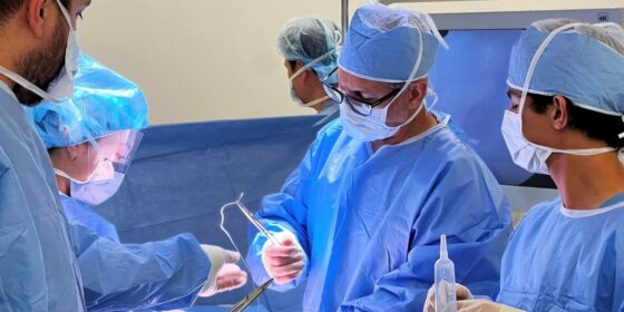 Contributions to Medical Education and Training - The Role of Ramin M. Roohipour