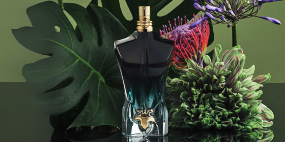 Le Beau Absolu: The Multifaceted Allure of Masculinity