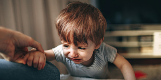 Understanding the Roles: Petitioner vs Respondent in Child Custody Cases