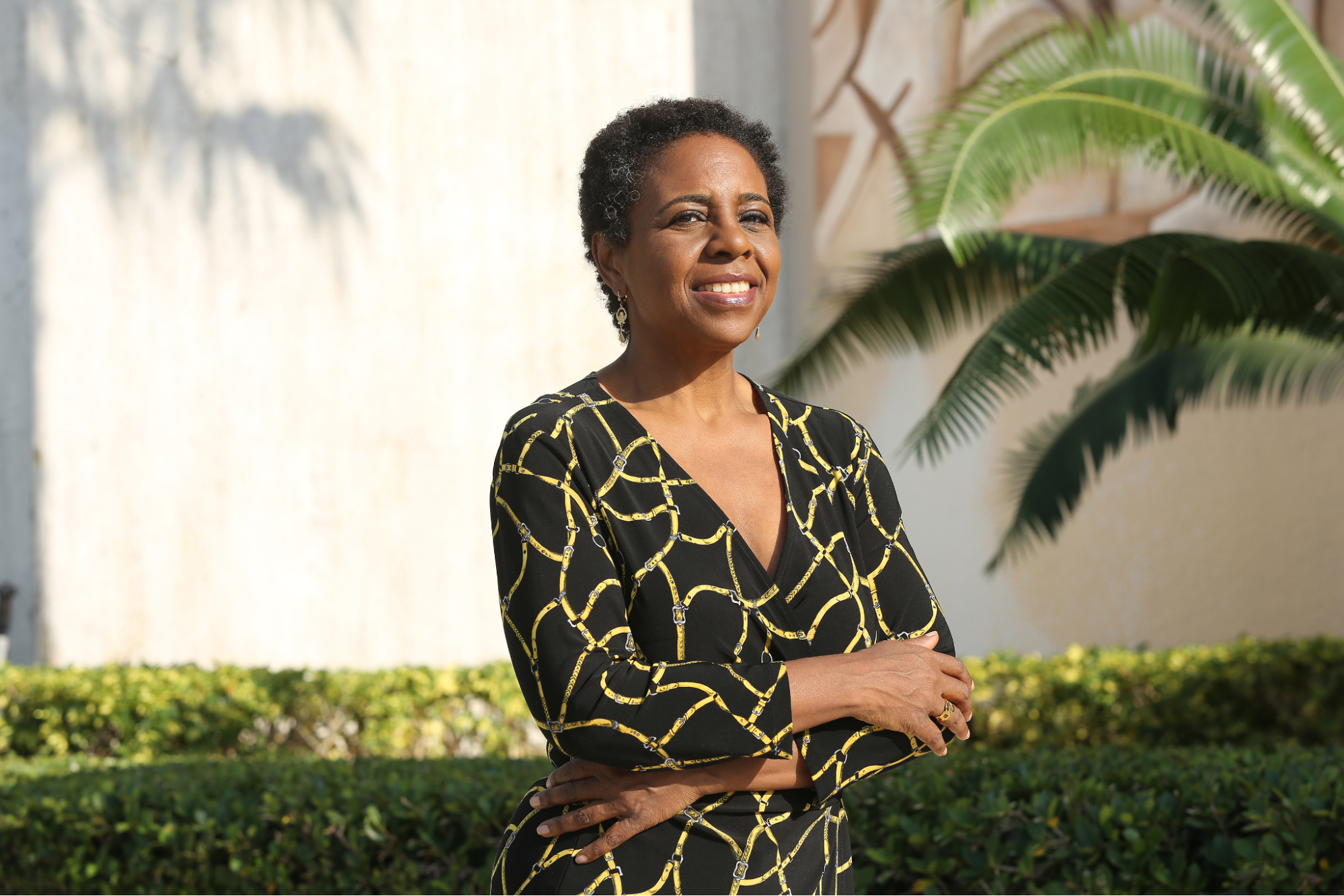 Protecting Creativity Lillian Taylor Štajnbaher, The Artistic Crusader of Intellectual Property Rights