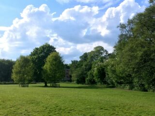 Why Expanding Green Spaces Is Essential For Healthier, More Connected Communities