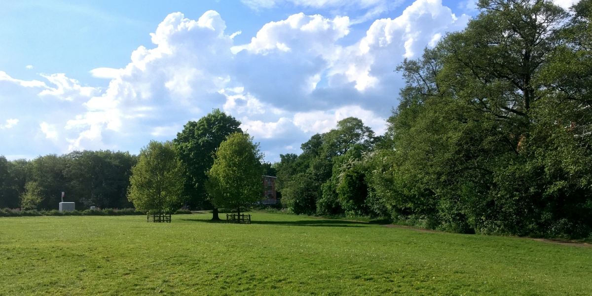 Why Expanding Green Spaces Is Essential For Healthier, More Connected Communities