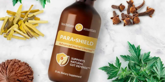 Explore Traditional Herbal Support for Digestive and Gut Health with Para-Shield from Touchstone Essentials