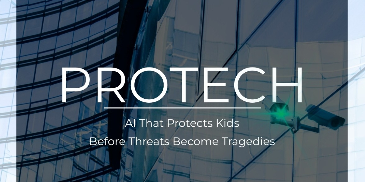 Understanding the Landscape of School Security