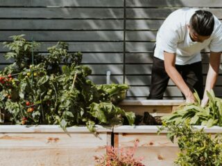 Can Garden Rooms Improve Your Mental Health? Discover the Benefits of Outdoor Spaces