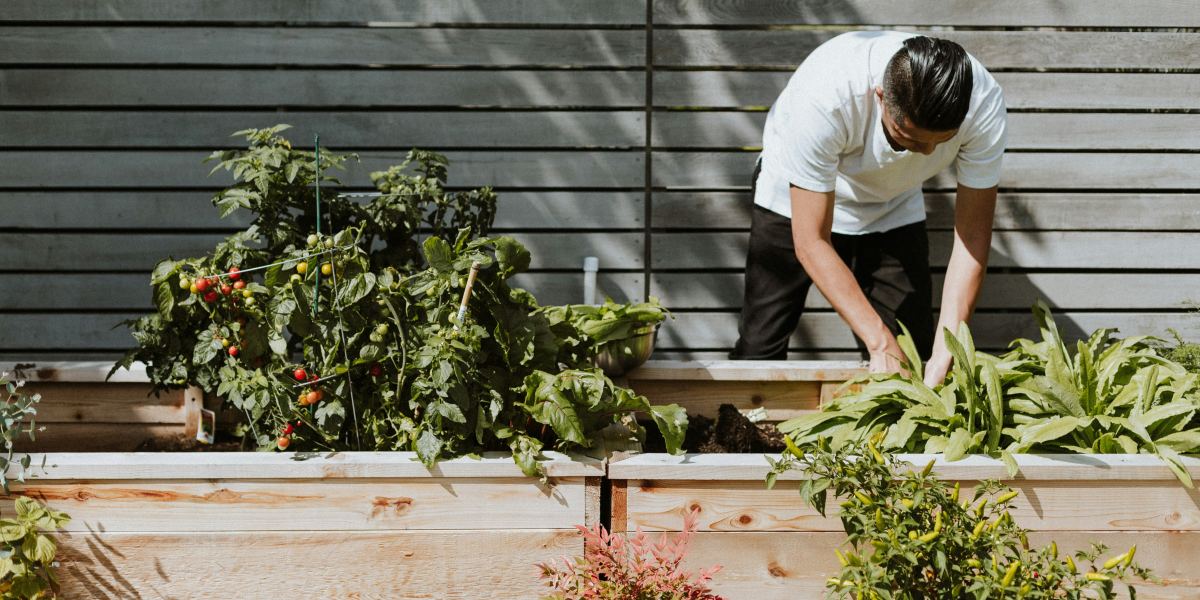 Can Garden Rooms Improve Your Mental Health? Discover the Benefits of Outdoor Spaces