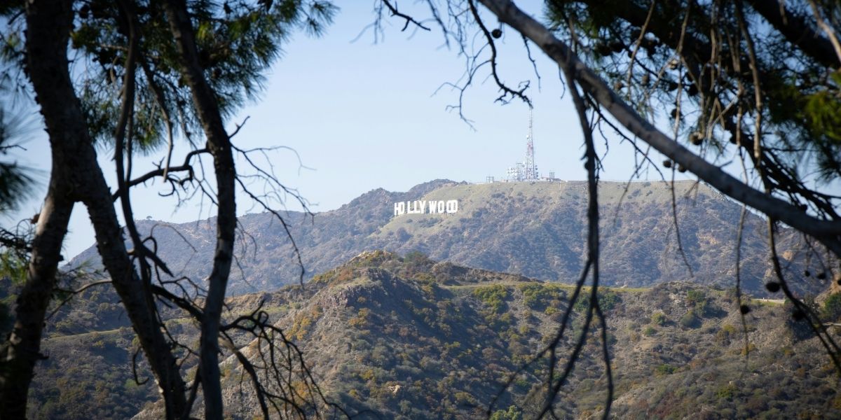 Echoes on the Hills: A Story Tied to The Hollywood Sign