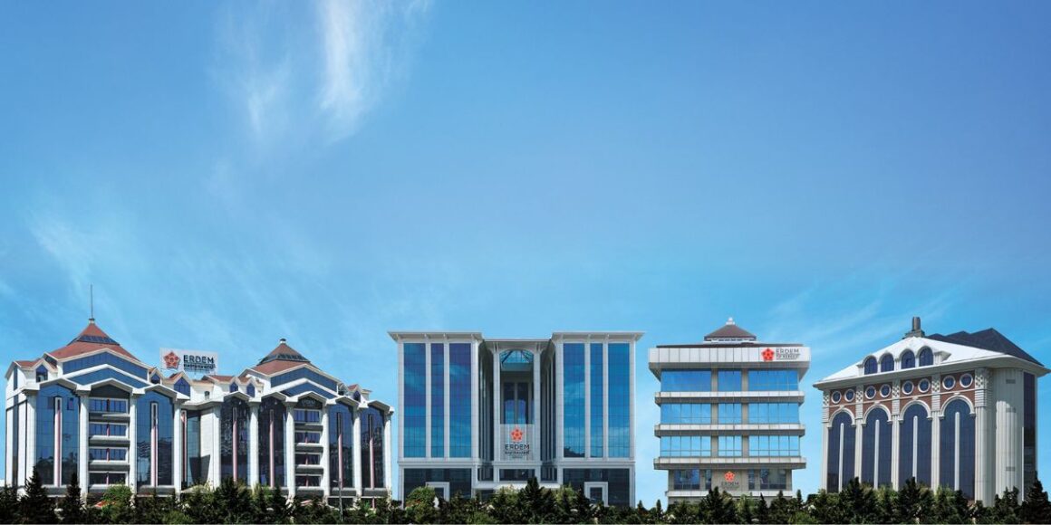 Understanding Medical Tourism Through the Lens of Erdem Health Group in Türkiye
