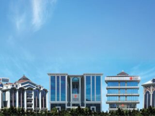 Understanding Medical Tourism Through the Lens of Erdem Health Group in Türkiye