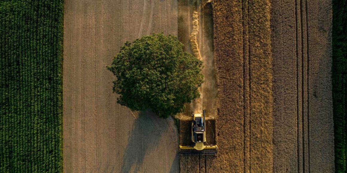 How Land Ownership Became a Billion-Dollar Game
