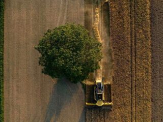 How Land Ownership Became a Billion-Dollar Game