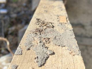 Pest Protection Tips for Your New Home How to Prevent Termite and Pest Issues Before Move-In
