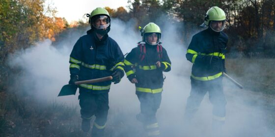 What to Do During a Wildfire Essential Steps for Safety and Survival